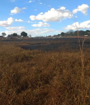 ac4d69ff-d6ff-4fe3-9bdb-530f48a9e0cb (Copy)