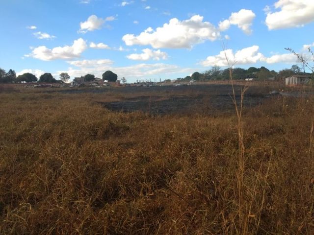 ac4d69ff-d6ff-4fe3-9bdb-530f48a9e0cb (Copy)