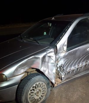 b0ceee11-b303-45be-bc6f-e1d2f598cc96