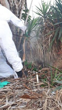 072c6094 a293 46a7 b79e 9197f8d98d97 Copy