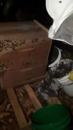 381e1689 475f 4935 8f80 bbd4248b6be6 Copy