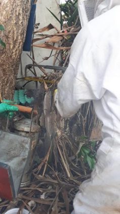 41b2a795 ba4e 4ba2 8d08 54db764f5323 Copy