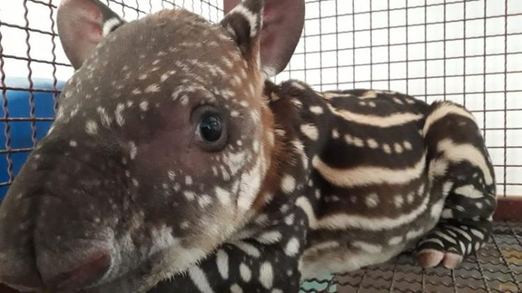 5d483b4e 67bf 4248 9e95 52be7804f6dc Copy