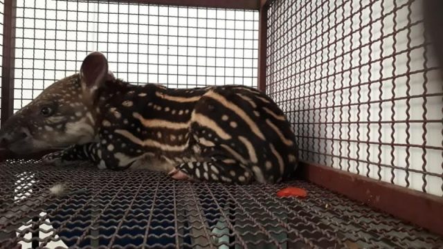 7617cbd4-6d66-41bc-9fe7-35139f35d31d (Copy)