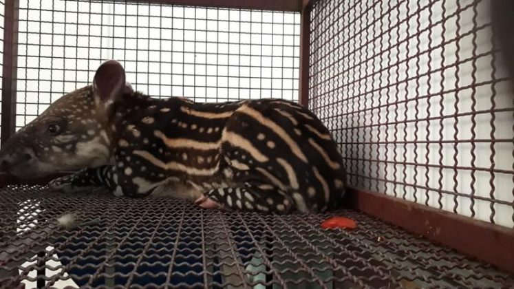 7617cbd4 6d66 41bc 9fe7 35139f35d31d Copy