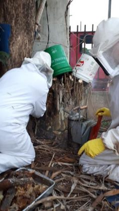 7f0a02af 43b4 451a 93e6 1cf011ceb1ce Copy