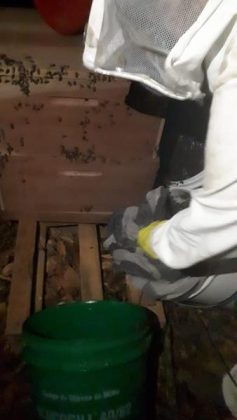 a80e7976 d11b 4687 b158 772d65798122 Copy