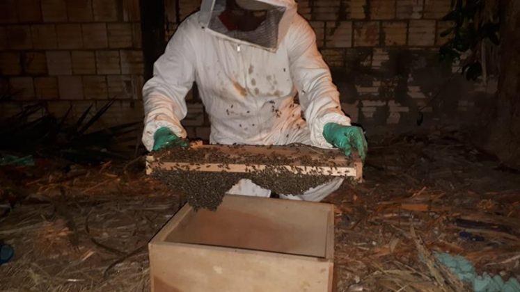 bc5df683 a187 4347 b129 808c0cf95dbf Copy