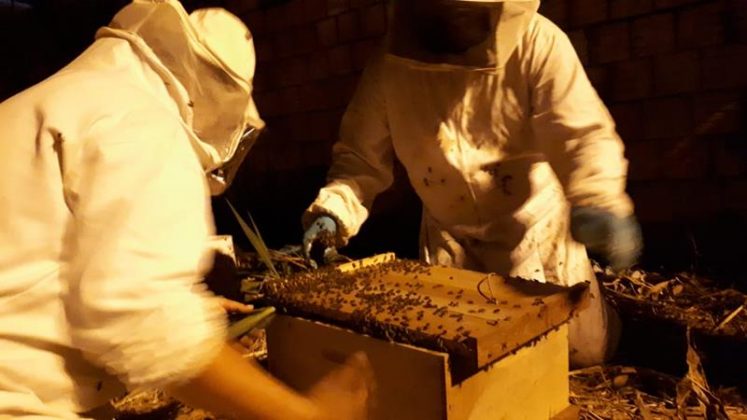 f7ac835a a938 4928 adfd 985d7c45ed76 Copy