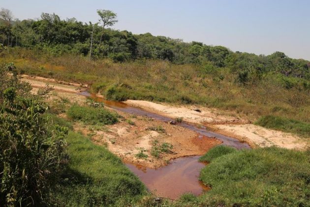 thumb 1280 0 0 0 auto 1 Copy 21