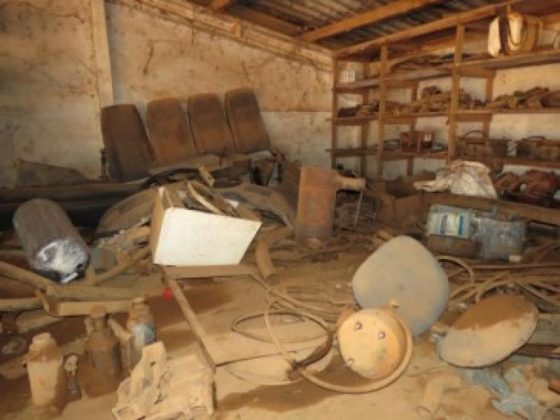 thumb 1280 0 0 0 auto Copy 22