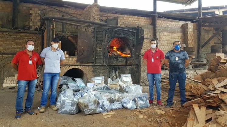 Sorriso: Polícia Civil incinera 217 kilos de entorpecente Polícia Sorriso Mato Grosso