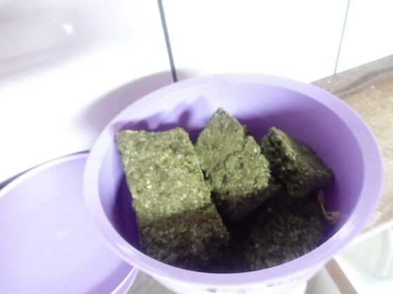 Sorriso: PC apreende em confeitaria doces recheados com maconha Sorriso Sorriso Mato Grosso