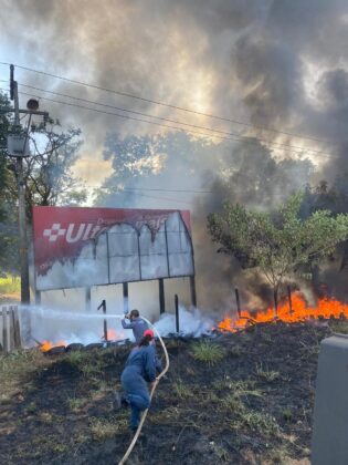 4114ff9e ab39 475f 8c75 96fd4e5b60a5