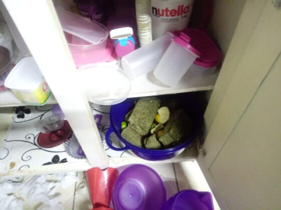 Sorriso: PC apreende em confeitaria doces recheados com maconha Sorriso Sorriso Mato Grosso