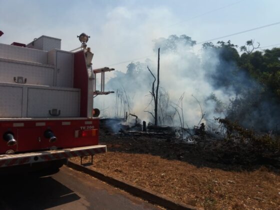 7799296a d3da 4327 8003 1872eb106dcb