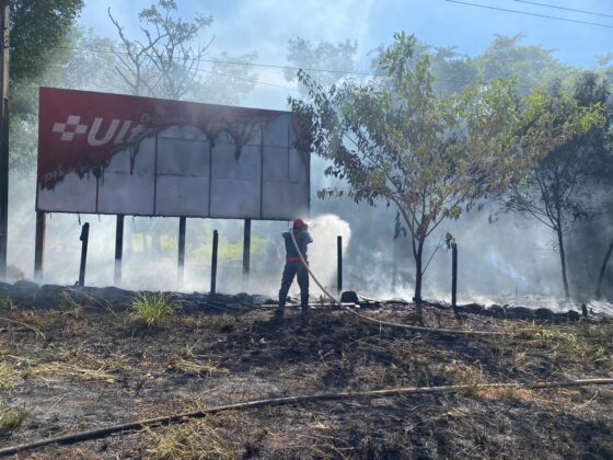 79ff4533 7930 4e61 8cc1 ce69db7e1aee