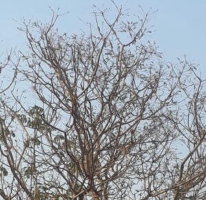 WhatsApp Image 2020 08 28 at 17.54.17 648x630