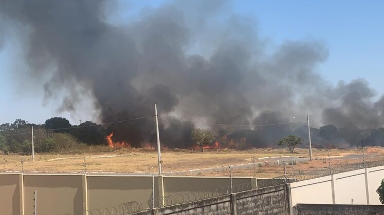 aafff976 ddb2 420a 997d 1f4eaf8355e6