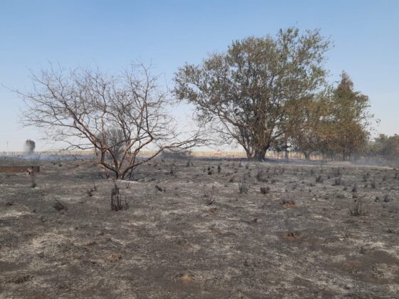 ac252346 c18b 4ae0 b684 9088563d0dc1