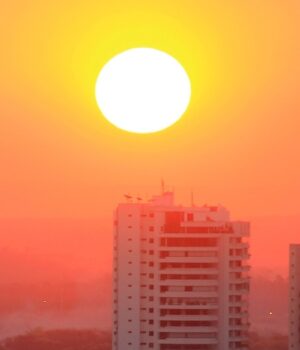 whatsapp-image-2020-08-27-at-10.24.00