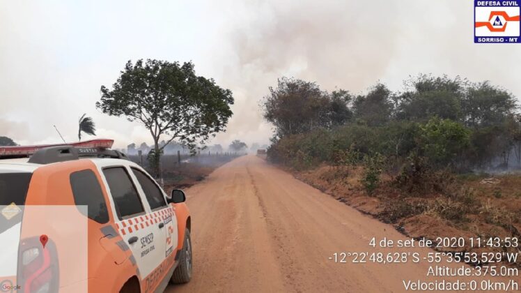 Sorriso: Fogo incontrolável atigem grande área e avança em assentamento Sorriso Sorriso Mato Grosso