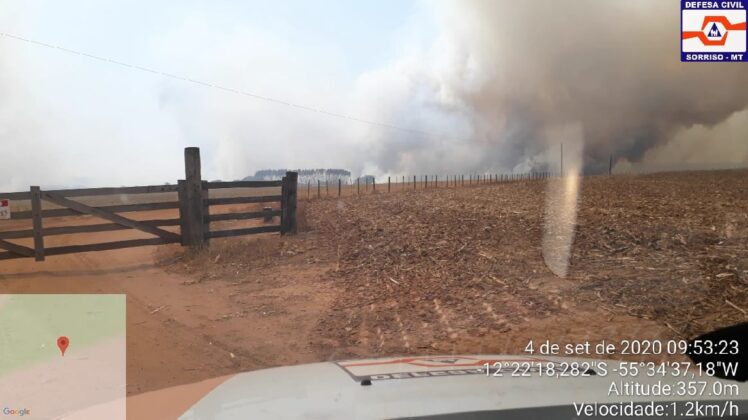 Sorriso: Fogo incontrolável atigem grande área e avança em assentamento Sorriso Sorriso Mato Grosso