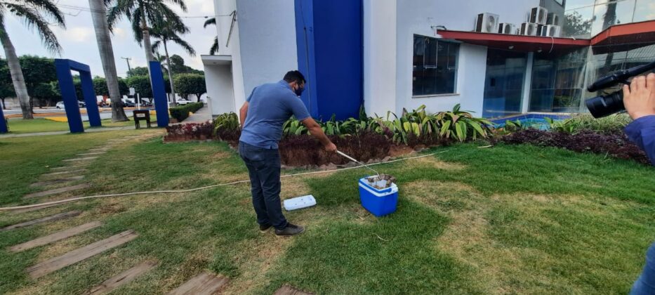 0aa50ae9 fe85 4242 a72d f3bc2bbd2e39