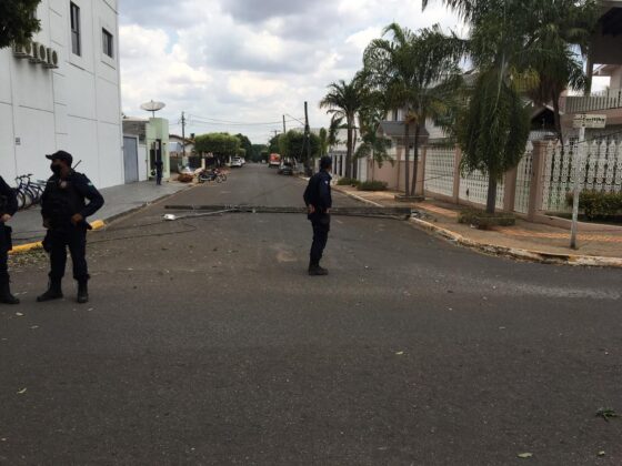 325f50df b791 4b91 9ecd cb32feafdd02