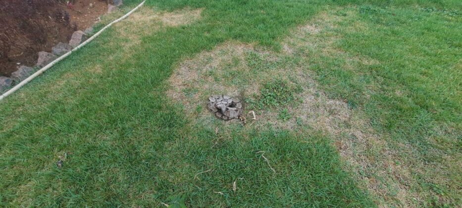 8e64a33c 53f8 4a59 a4fa 67d48a0b4fb6