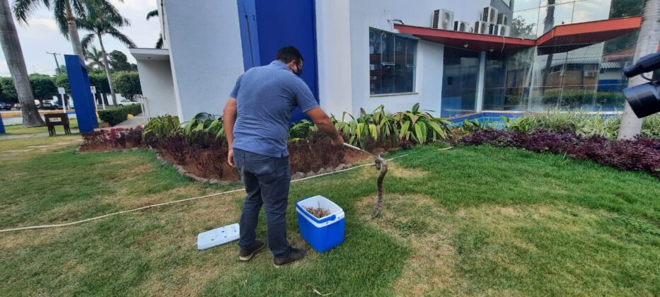 bf8ba630 10fa 4788 9849 e3286b190c41