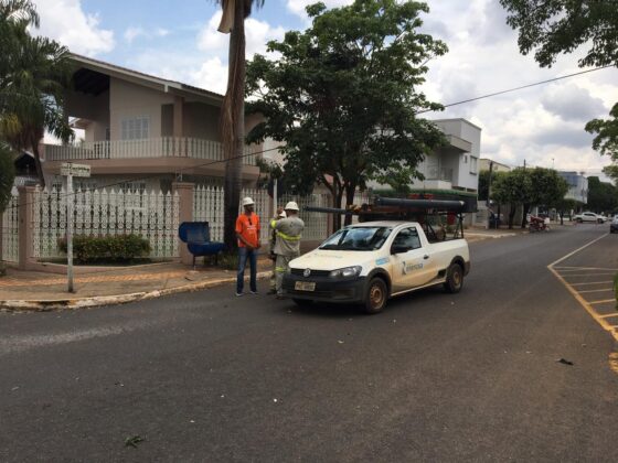 c2d50307 8728 4e4b 87e8 2fd59741f600