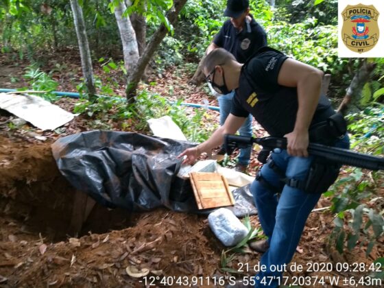 Sorriso: PC apreende torta de maconha em chácara Sorriso Sorriso Mato Grosso