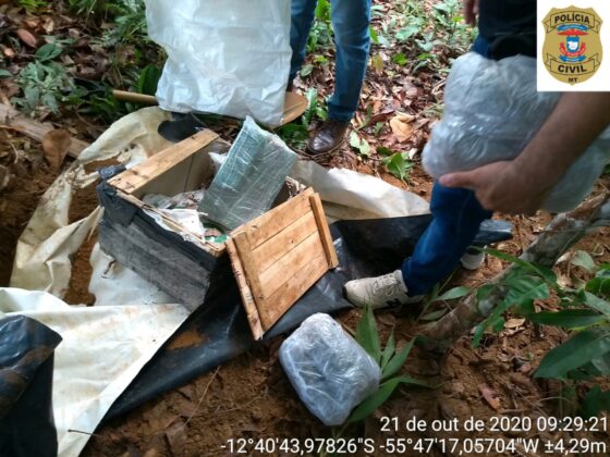 Sorriso: PC apreende torta de maconha em chácara Sorriso Sorriso Mato Grosso