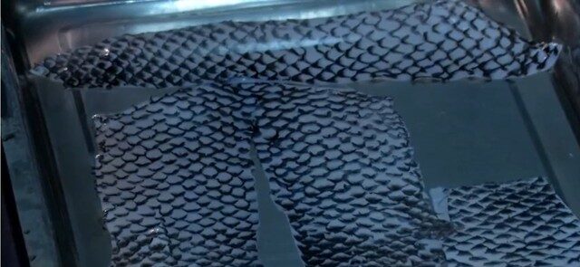 whatsapp-image-2020-10-10-at-11.15.28