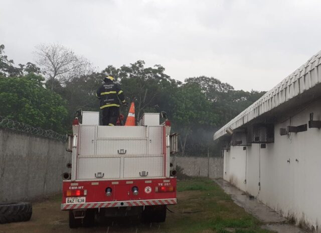 whatsapp-image-2020-10-19-at-17.24.07