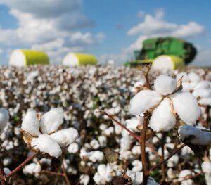 76360cf0fe46679d691a5cef11d088a7