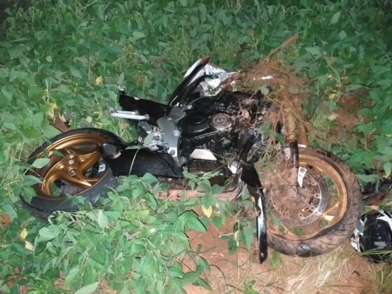 fd1e8570 174d 4f68 81f7 7d89c1d25ad6