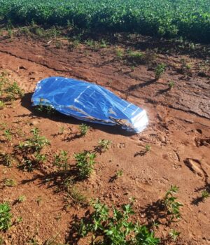 IMG-20210123-WA0029-300x350