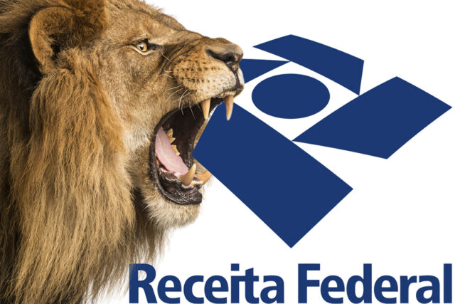Close-up of a Lion and Lioness roaring at each other