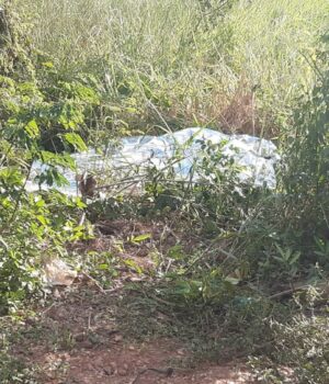 whatsapp-image-2021-04-12-at-16.33.47