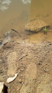 17fee9de b807 4c66 8e1b 628deadab40d