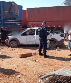 92265695-b974-45ac-bb01-9010cfde42fc