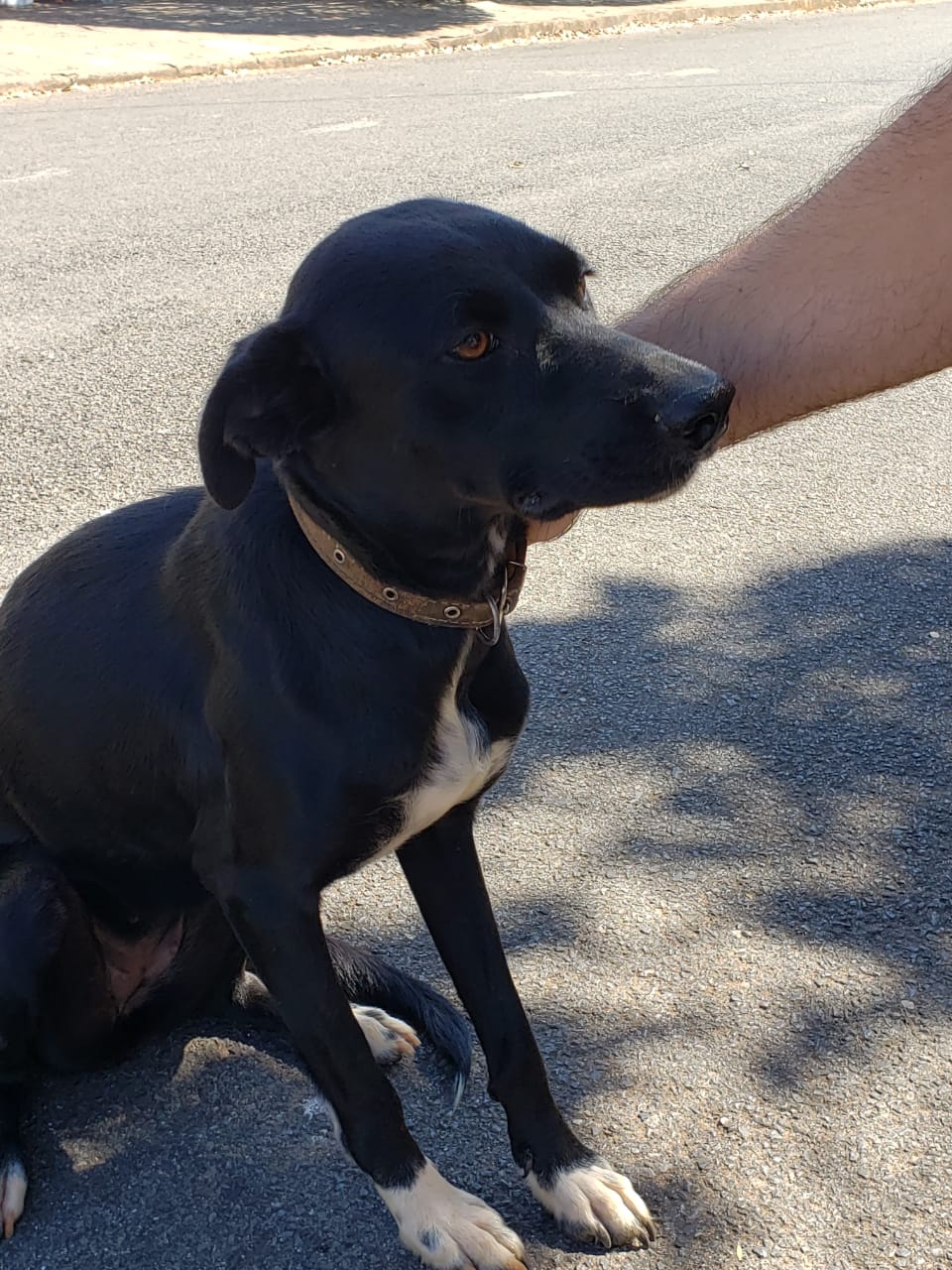 1ea8ad1a 0174 4b40 9223 92094de619a2 2