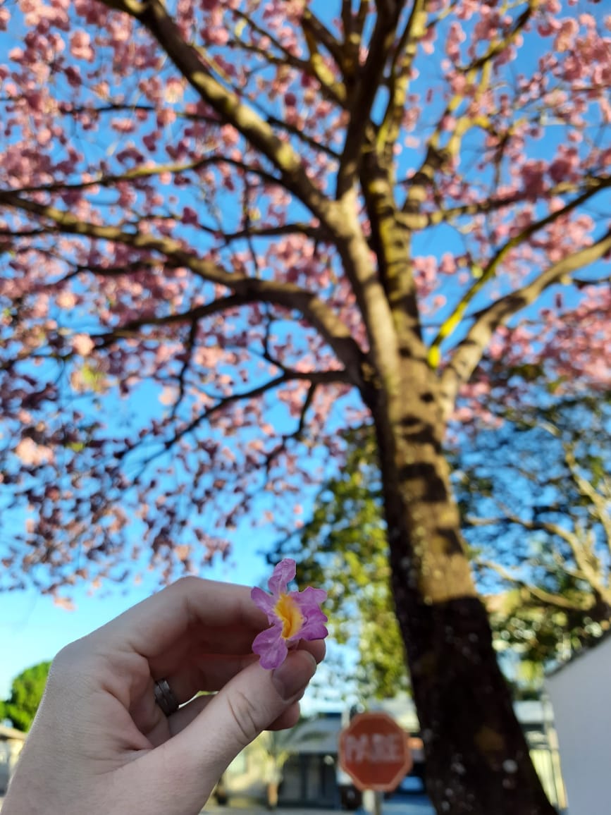 54c767e7 cd1e 4a68 816a ba05f0a58ff8