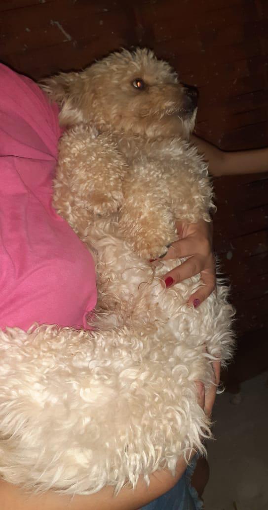 bd33f950 0ed9 48c6 881a e46f6a7a360e