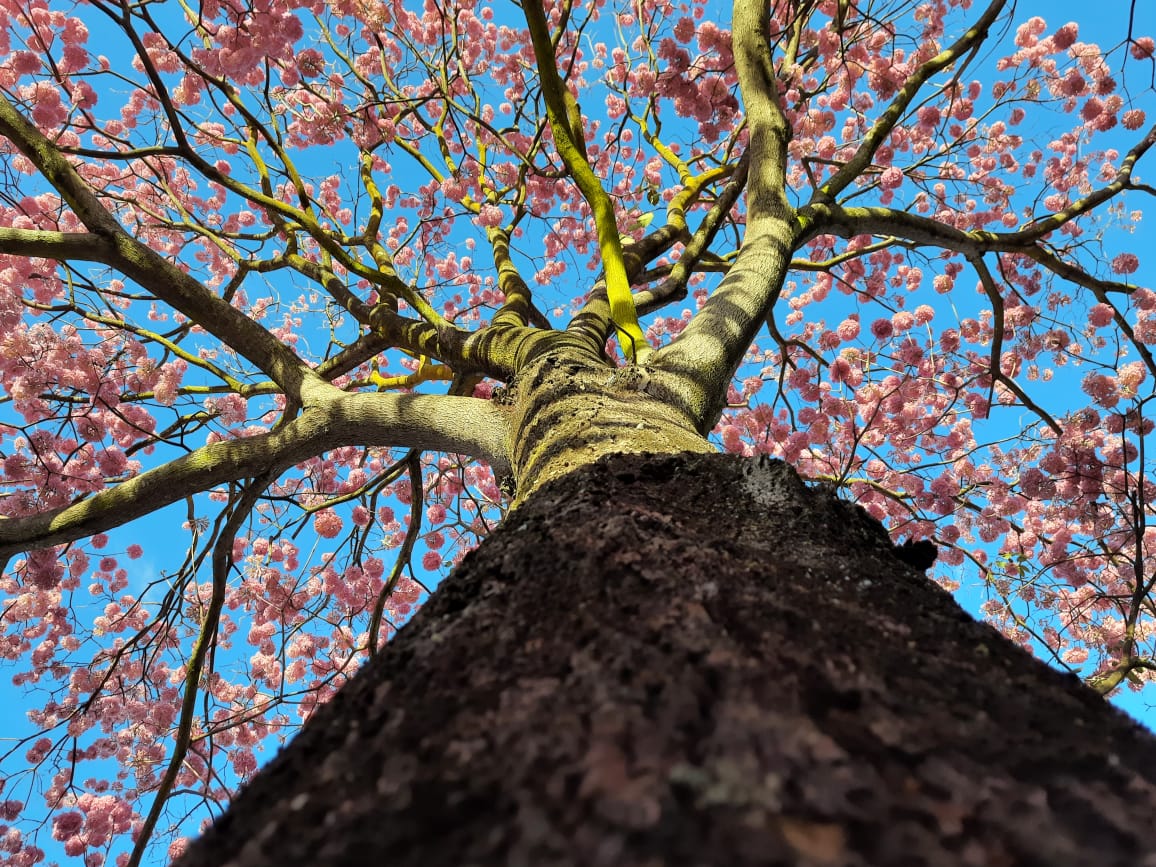 e9bfecd5 81d9 429f a265 d9c649783cf8