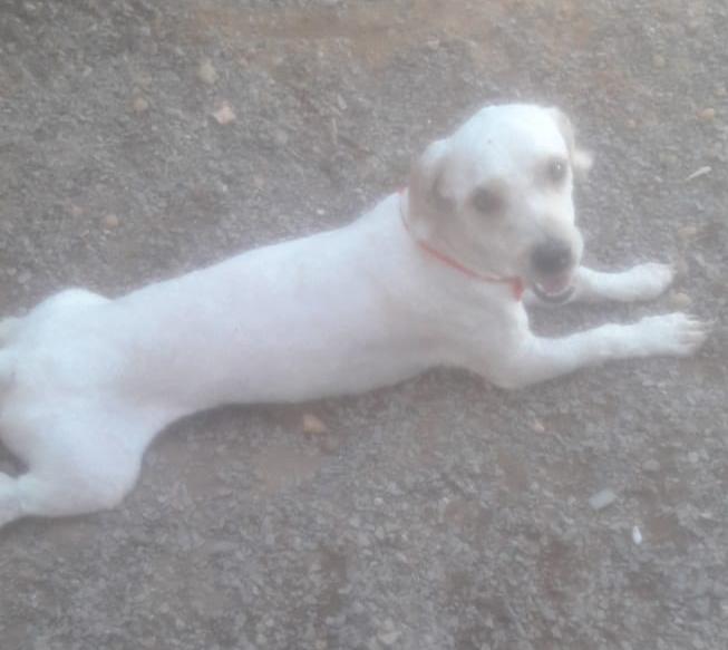 fb97f18e 38eb 48df b056 672389fa4f6e