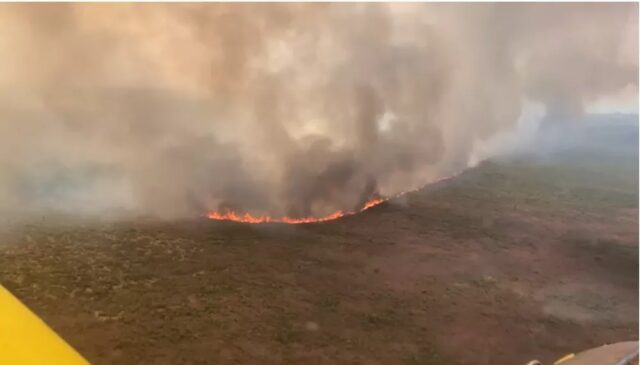 incendio fazenda