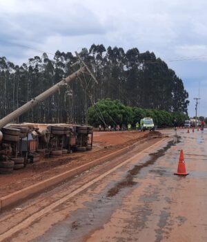 32221dc2-f9db-4783-92b9-0c6248017668